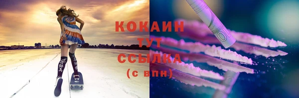 прущий лед Алзамай