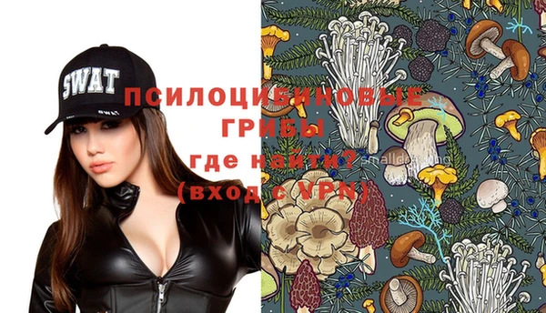 ешки Абинск