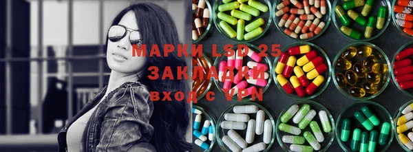 прущий лед Алзамай