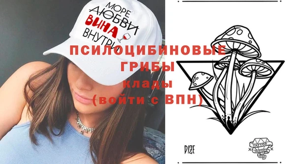 прущий лед Алзамай