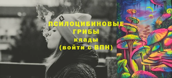 гидра Алексин